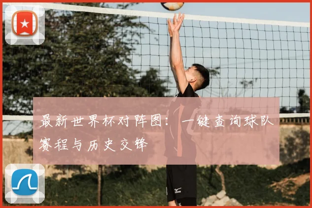 最新世界杯对阵图：一键查询球队赛程与历史交锋