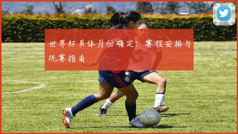 世界杯具体月份确定：赛程安排与观赛指南